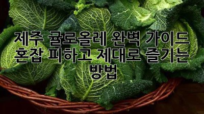 제주 귤로올레 완벽 가이드: 혼잡 피하고 제대로 즐기는 방법